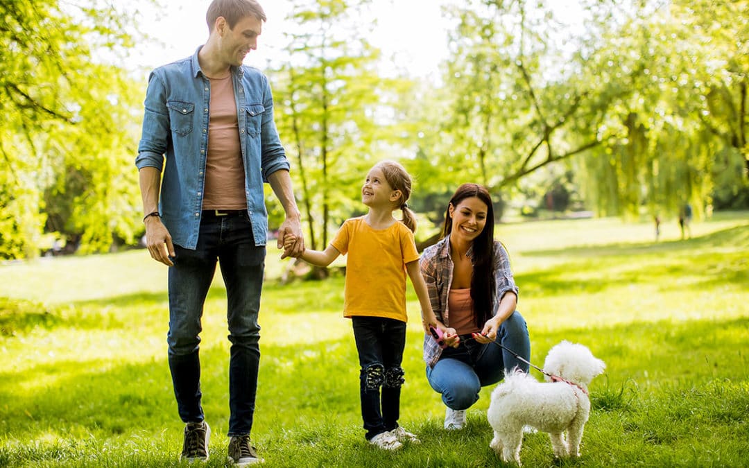 Teaches children to take care of pets through games