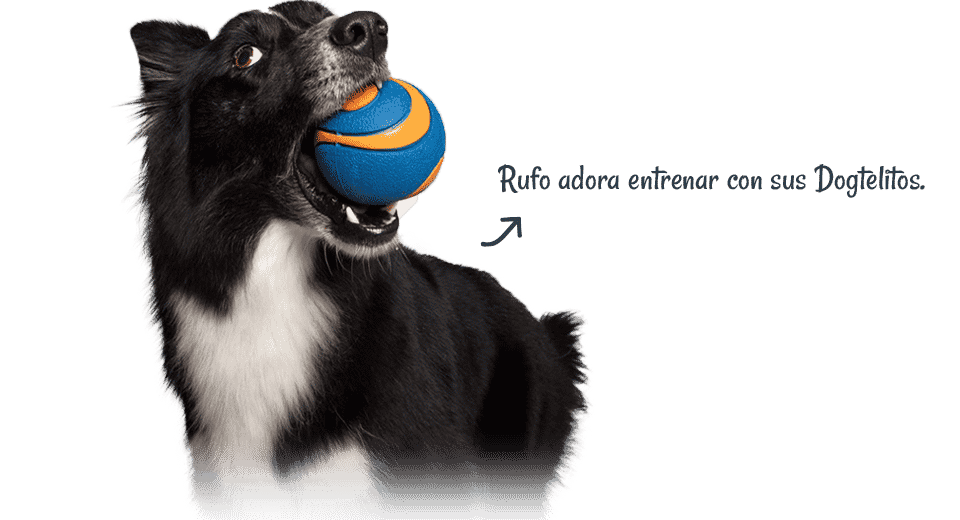 Dogtelitos