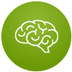Desarrollo cerebral