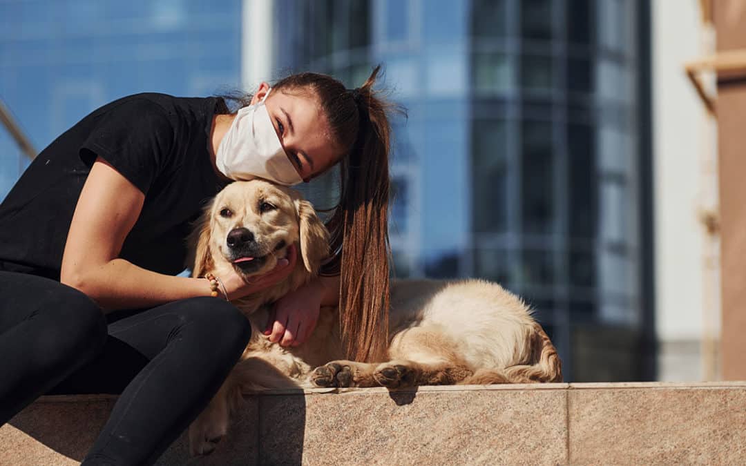 Responsible Animal Ownership at the time of COVID-19
