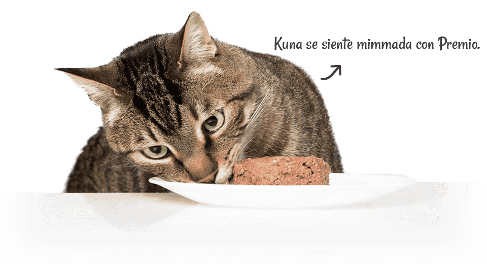 Premio Kitty