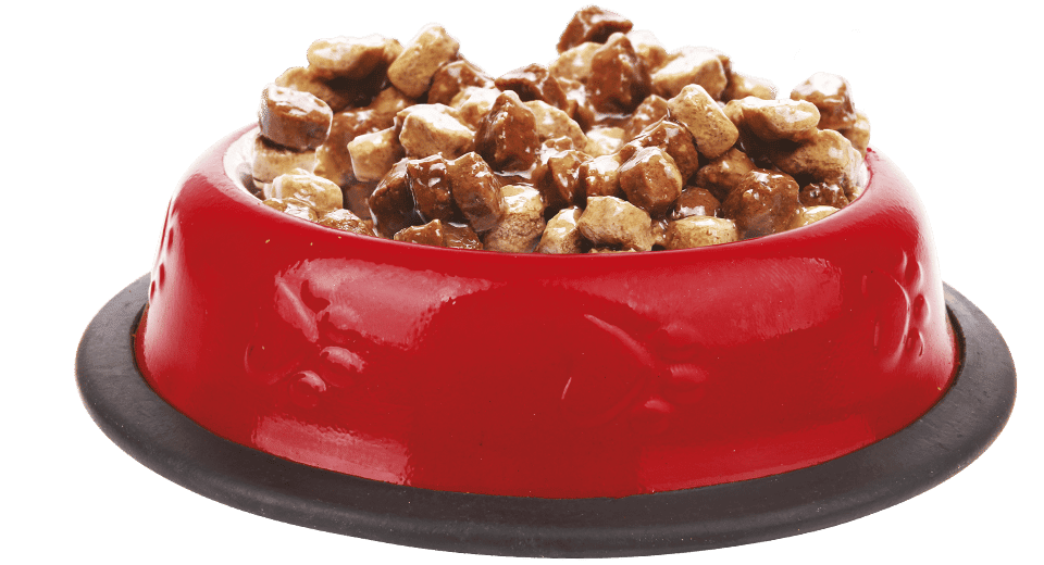premio pouch trocitos de carne