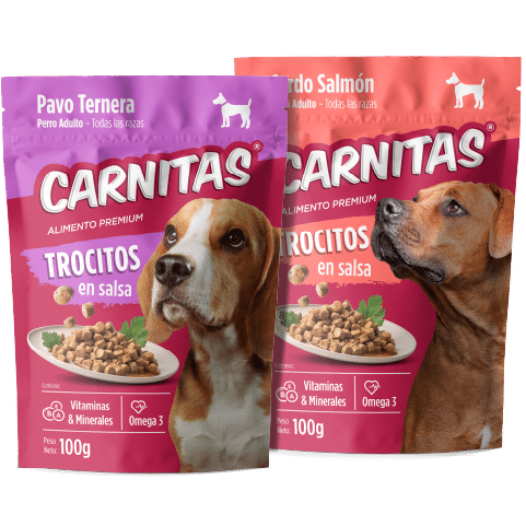 Carnitas Trocitos en Salsa